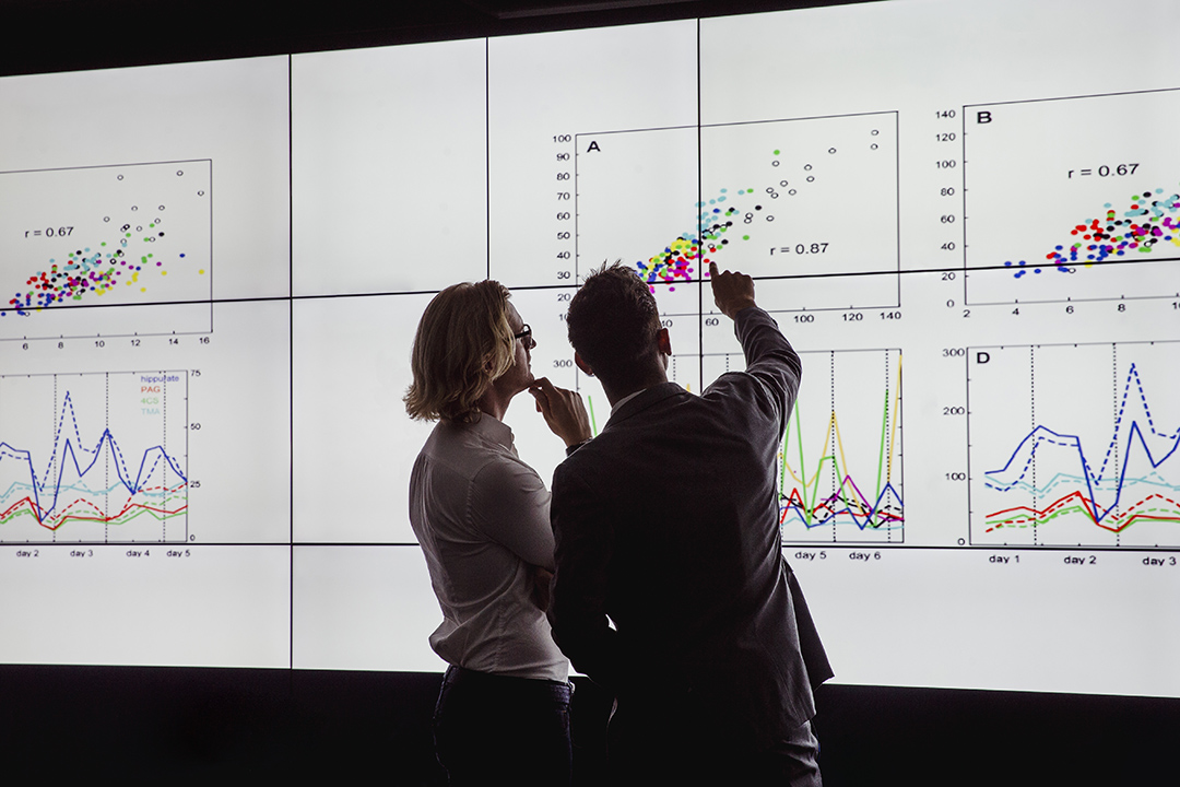 Two professionals studying a chart